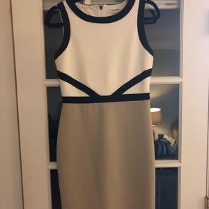 Calvin Klein Professional Dress